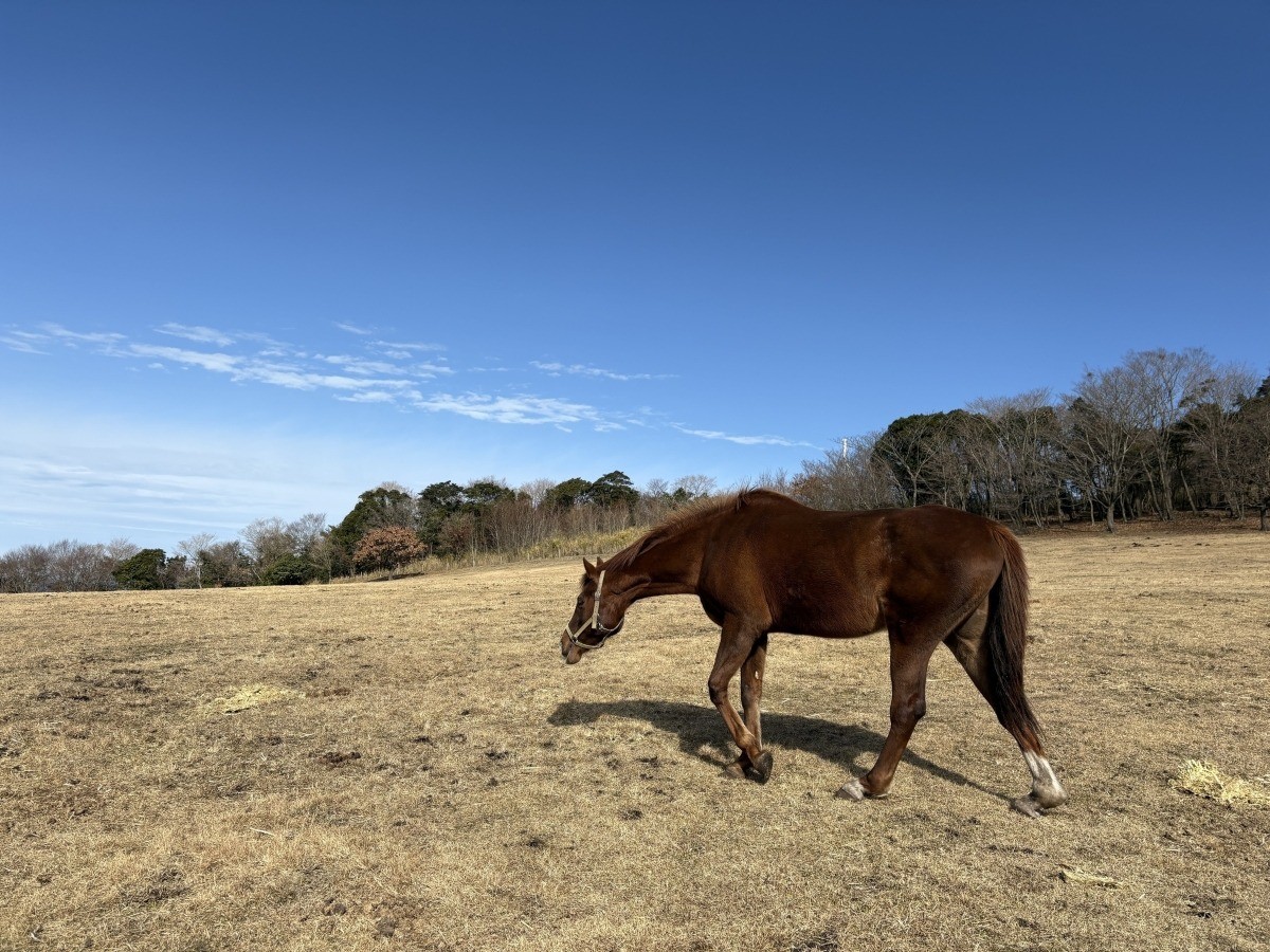 eb6d4a29e62cef44b21fae2856b74ad6-1769627906.jpg eb6d4a29e62cef44b21fae2856b74ad6-1769627906.jpg